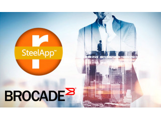  Brocade приобрела SteelApp